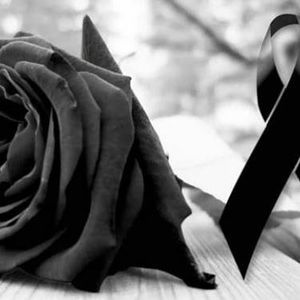 Meet your Posher, Silvia